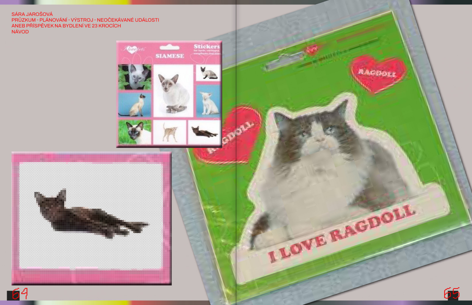 Sára Jarošová - Průzkum – Plánování – Výstroj - Neočekávané události aneb příspěvek na bydlení ve 23 krocích