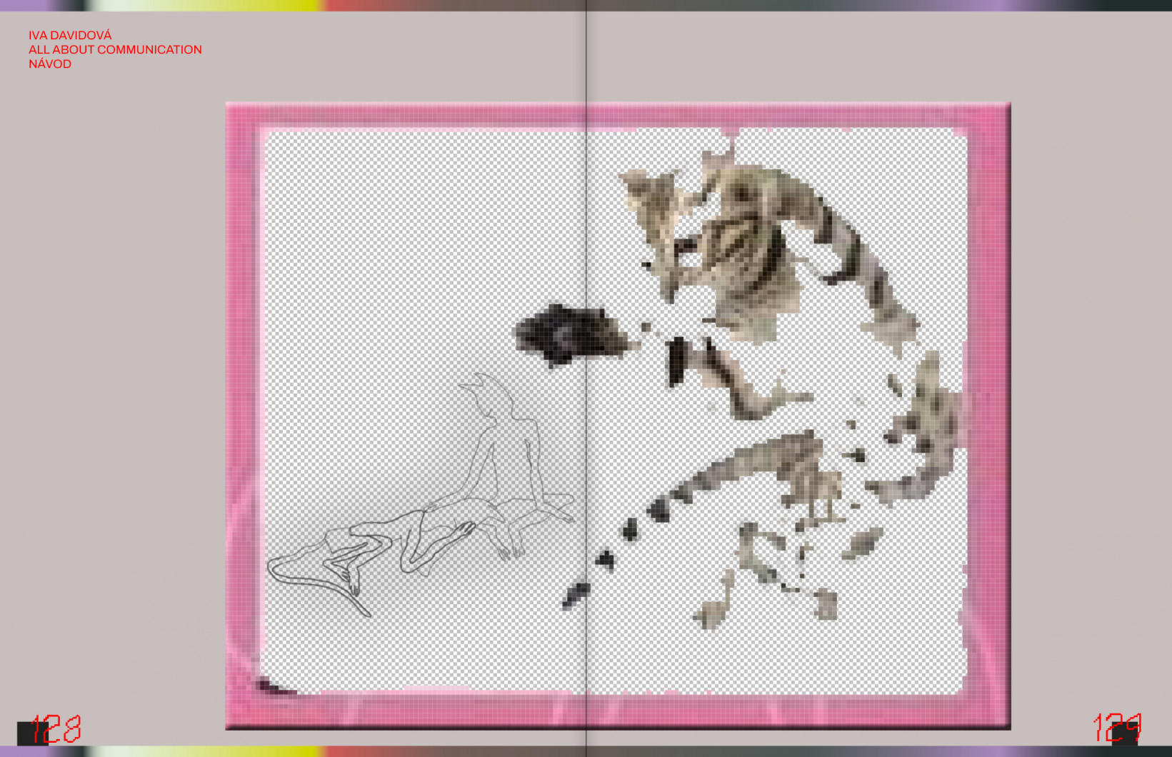 Iva Davidová - All about comunication