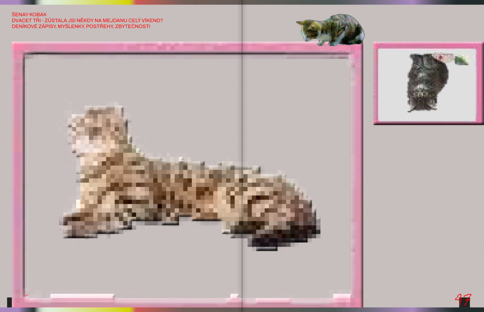 Šenay Kobak: dvacet tři - Zůstala jsi někdy na mejdanu celý víkend ? ⁃ deníkové zápisy, myšlenky, postřehy, zbytečnosti