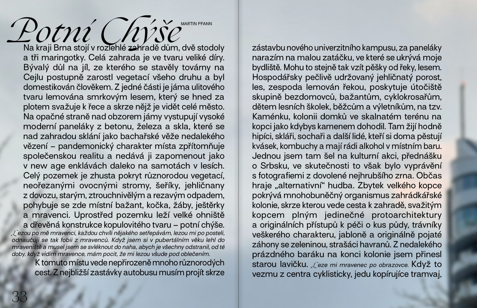 Martin Pfann: Potní chýše