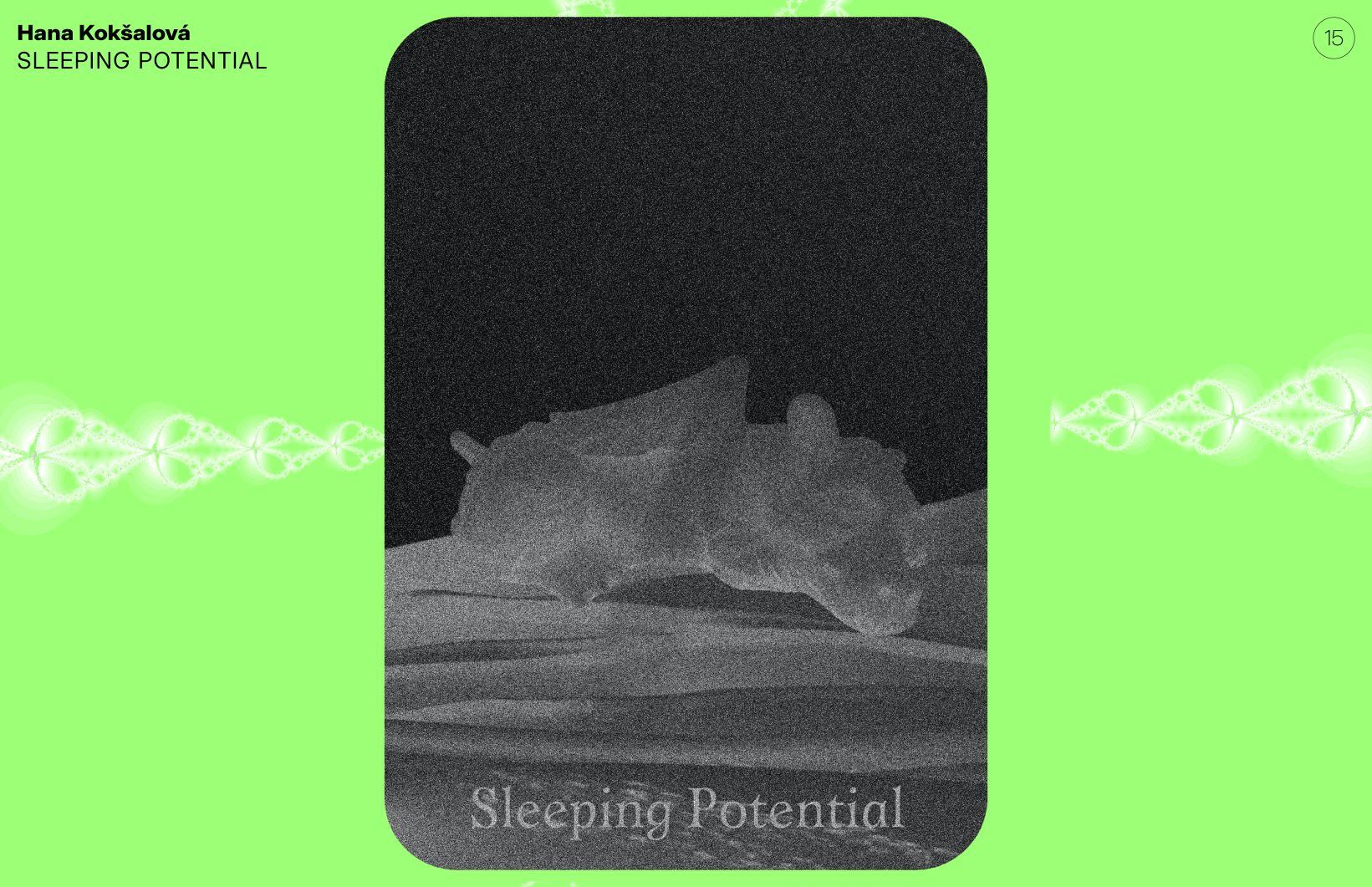 Hana Kokšalová: SLEEPING POTENTIAL