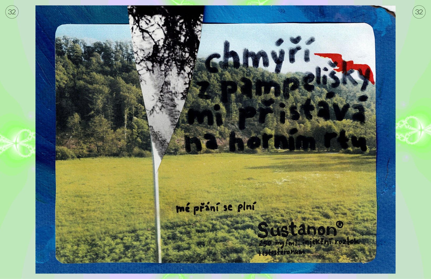 Felix Procházka: Aplikace Mužství