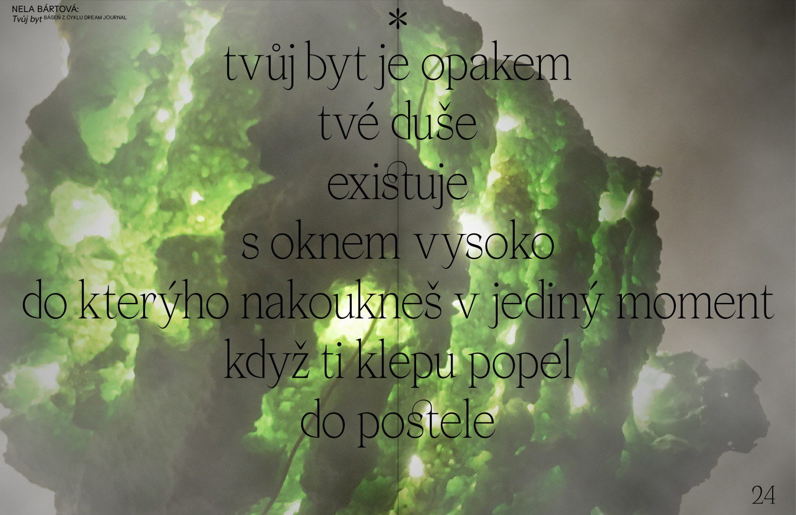 Nela Bártová: Báseň z cyklu DREAM JOURNAL