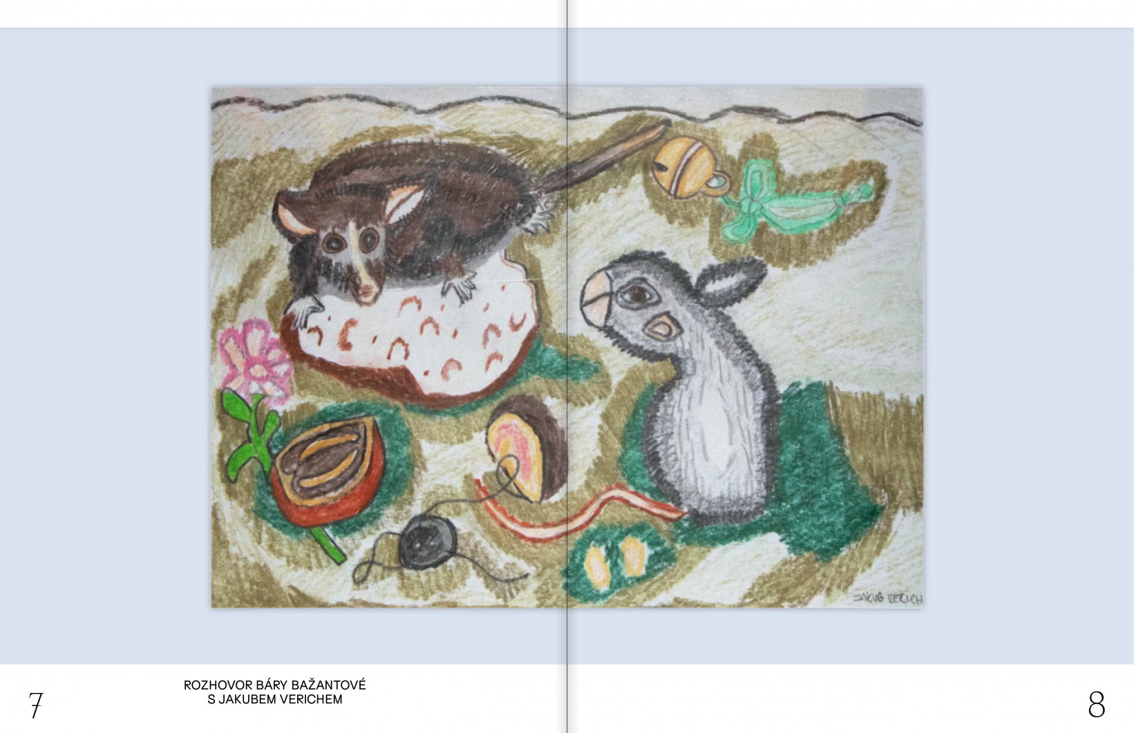 Rozhovor Báry Bažantové s Jakubem Verichem